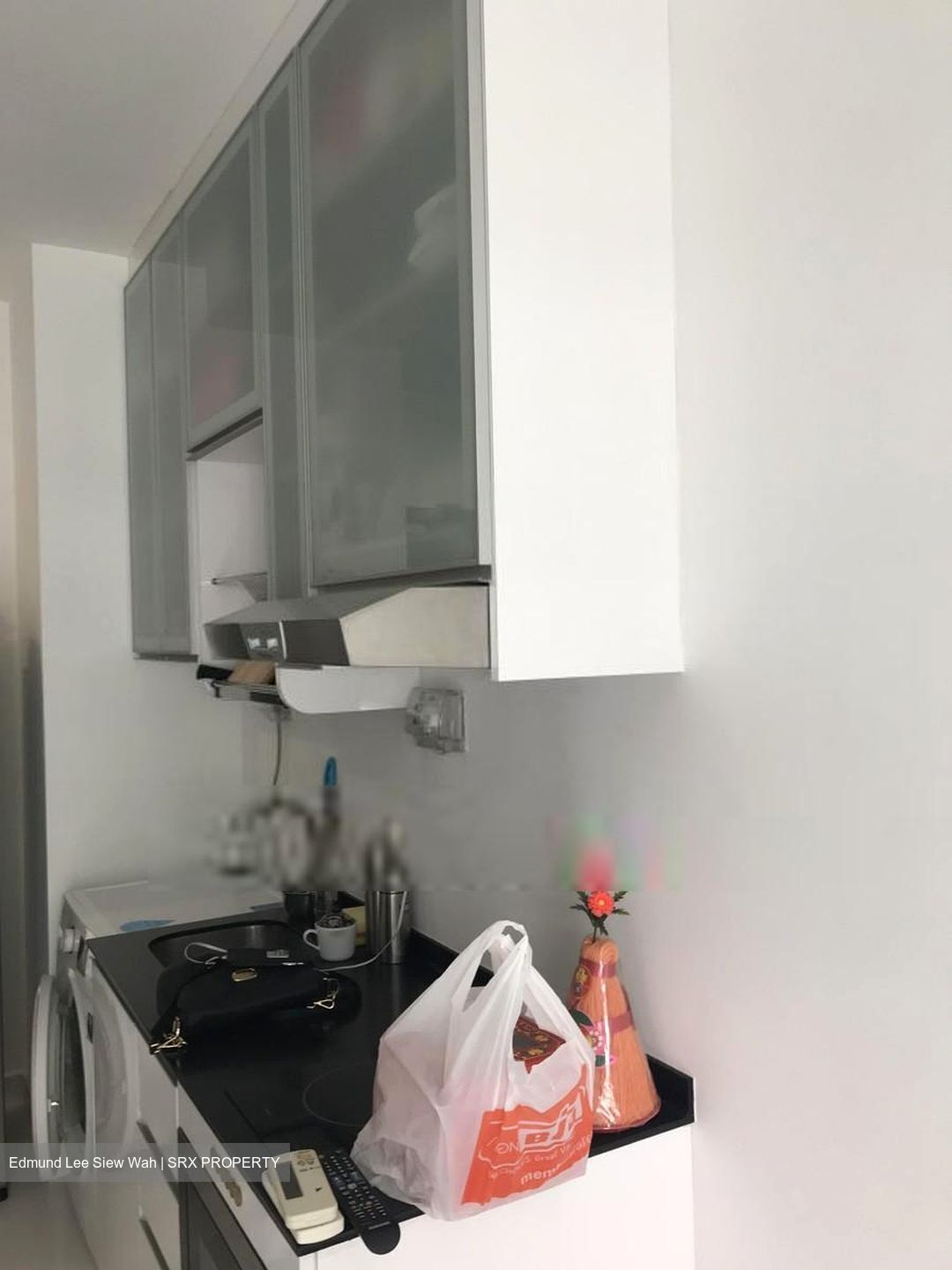 Parc Rosewood (D25), Condominium #636029181